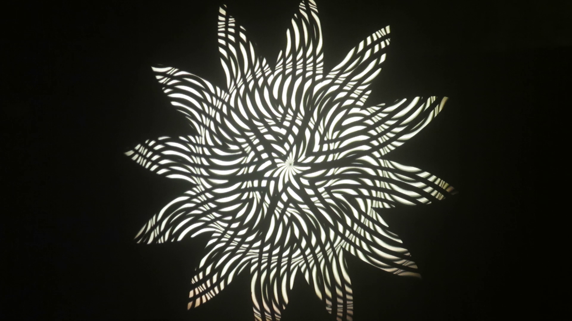 3 inch cassette wavy flower with swrirl cake   .png